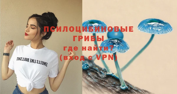 гидропоника Дмитров