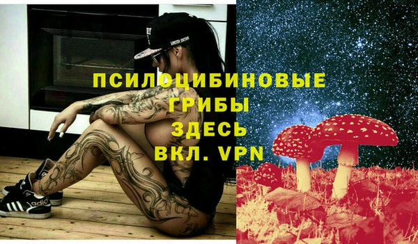 гидропоника Дмитров